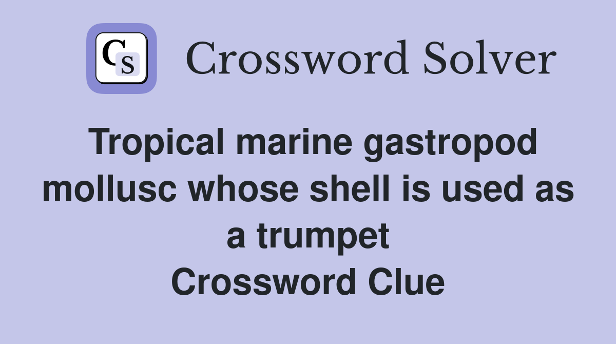 Tropical marine gastropod mollusc whose shell is used as a trumpet